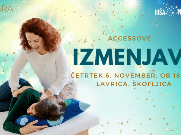 Access bars izmenjave