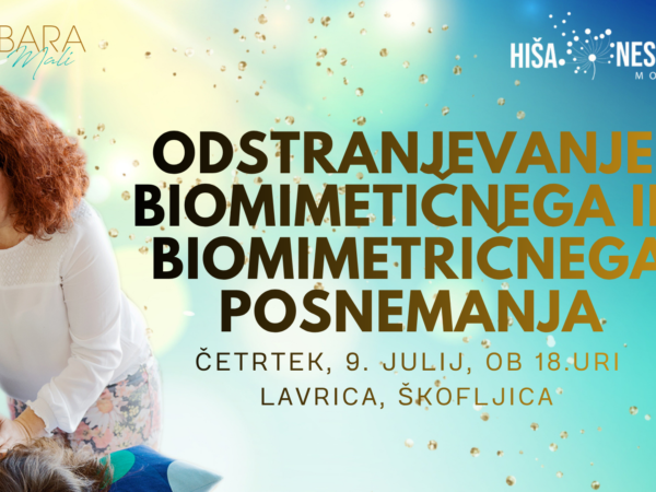 Biomimetično in biomimetrično posnemanje