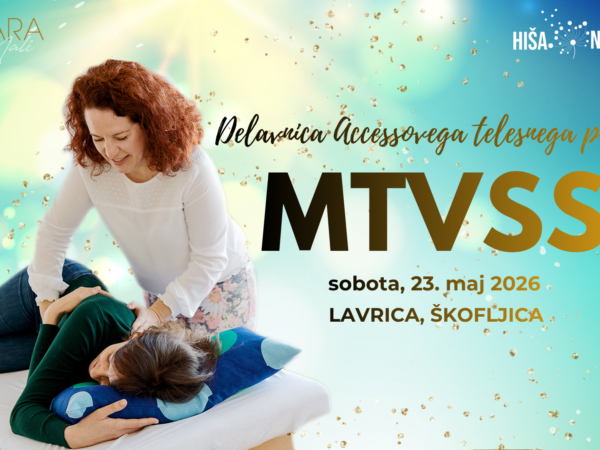 MTVSS delavnica